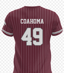 Pinstripe Softball Jersey